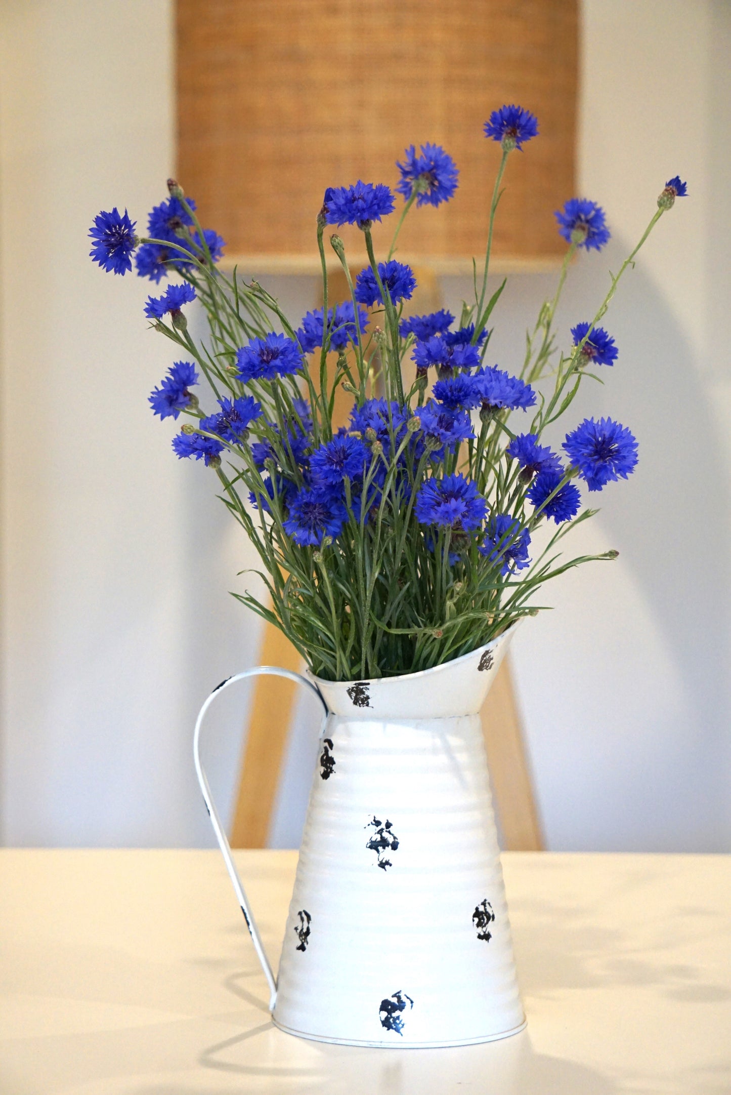 Cornflowers