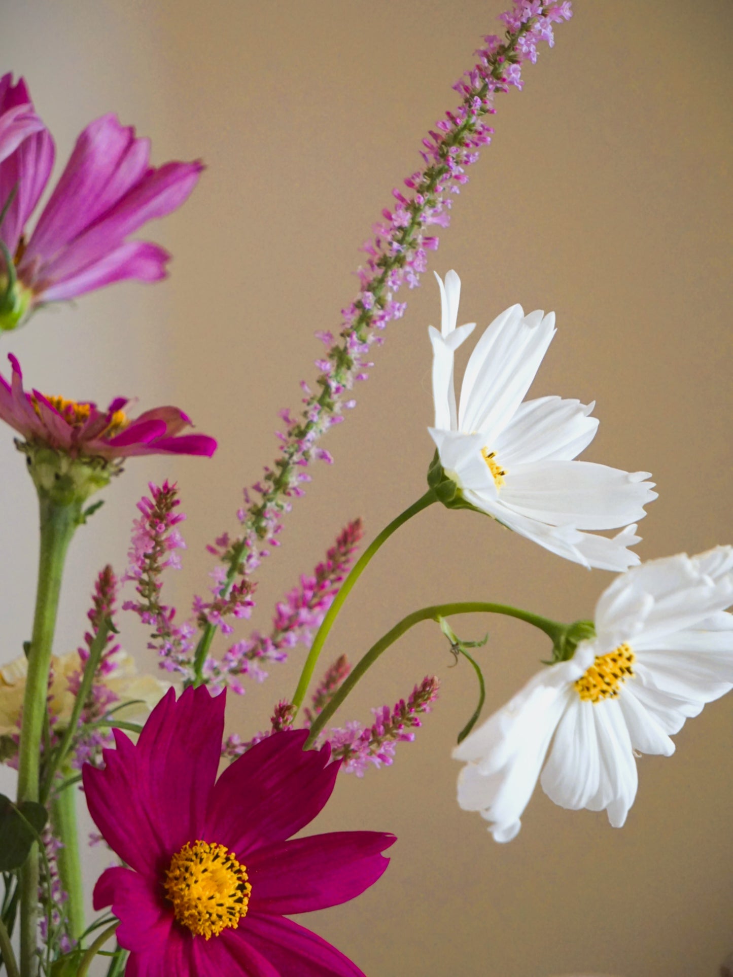 Small Summer Posy