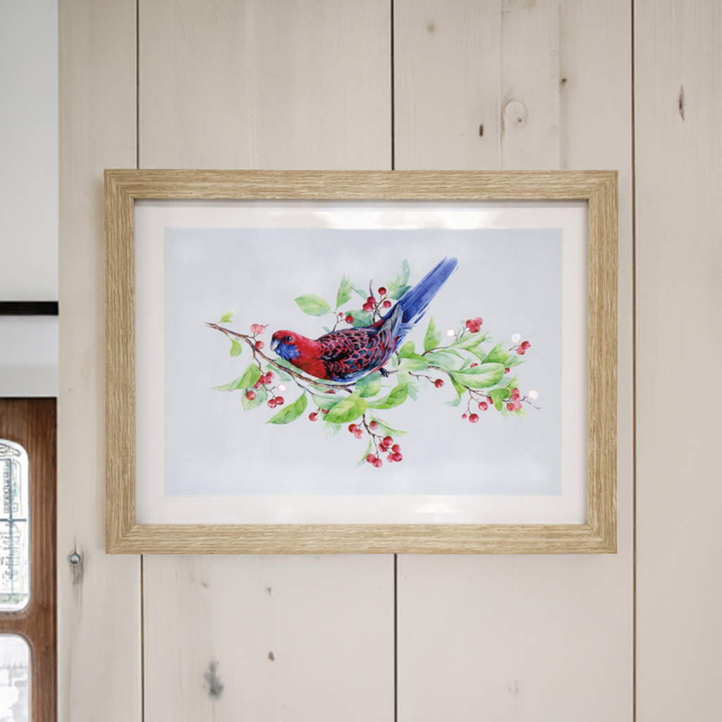 Framed Rosella Print