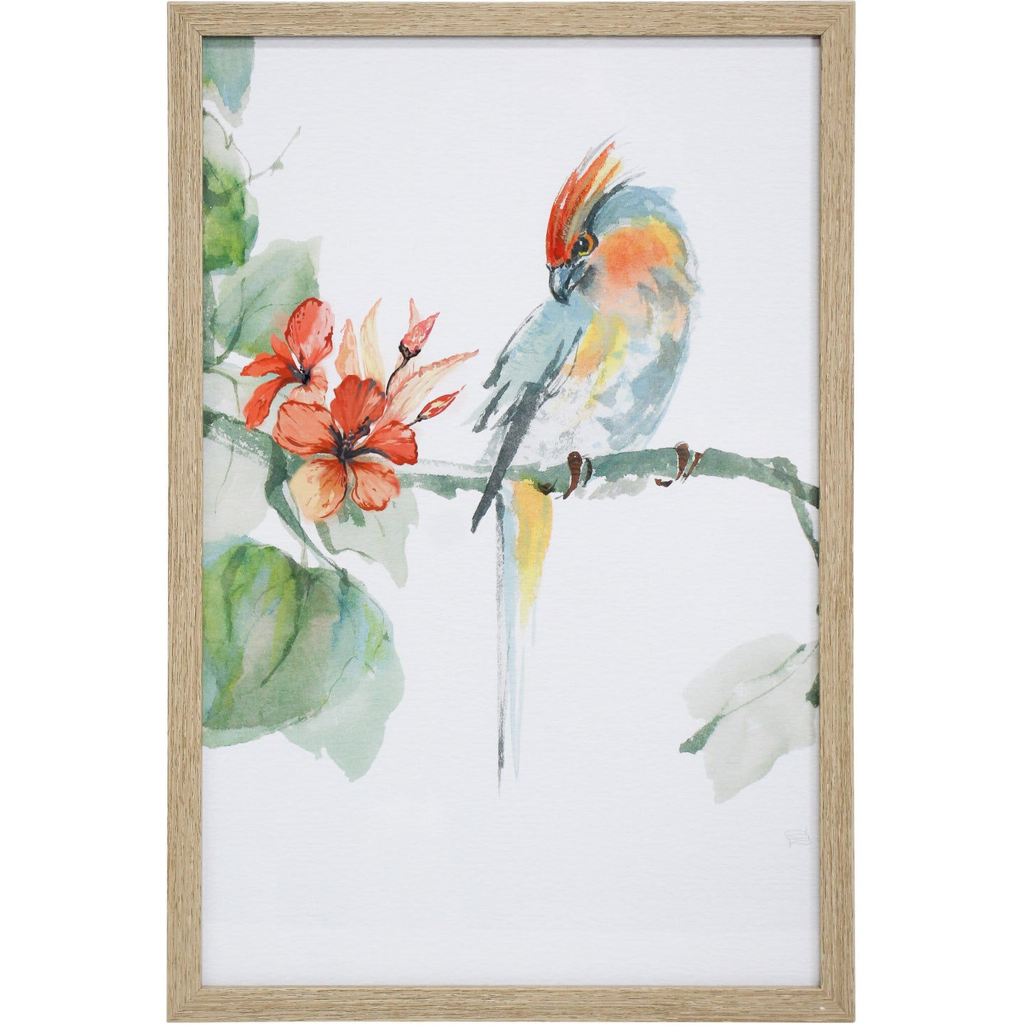 Framed Crested Parrot Print