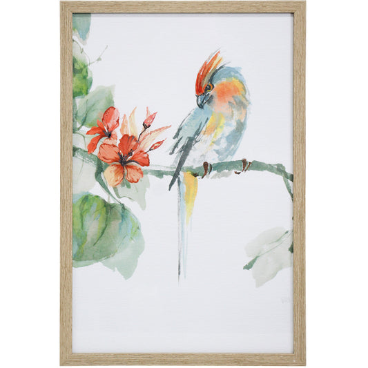 Framed Crested Parrot Print