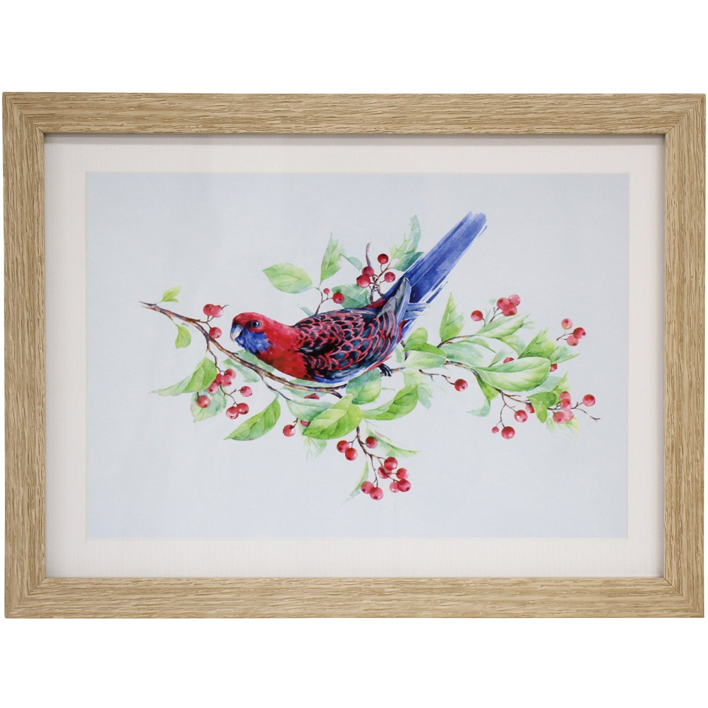 Framed Rosella Print