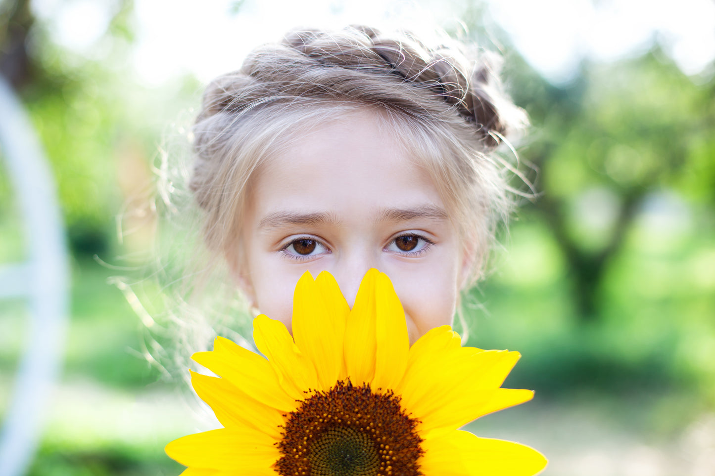 BEE KIND SUNFLOWER SEEDS image 0