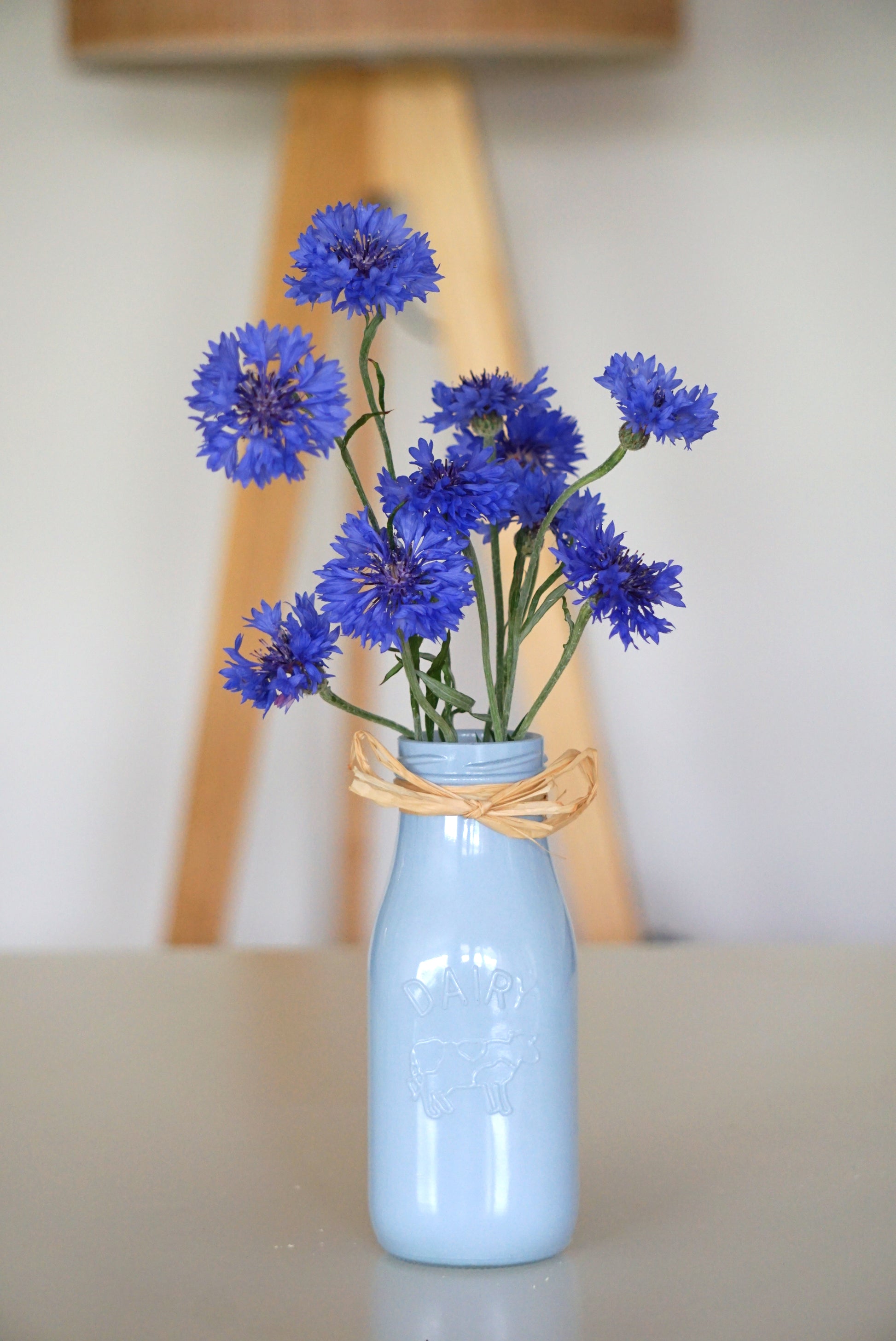 BLUE CORNFLOWERS image 5