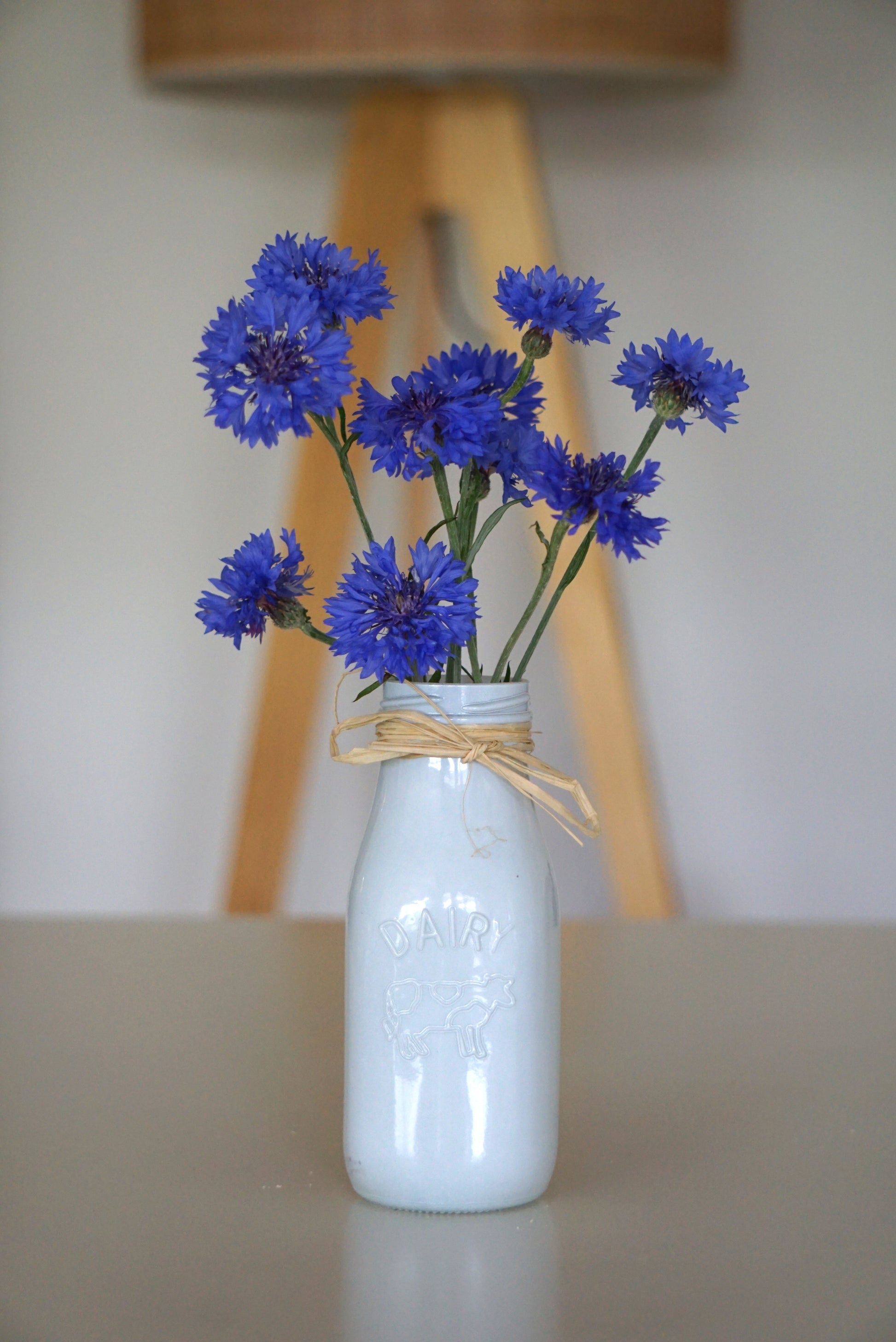 BLUE CORNFLOWERS image 3